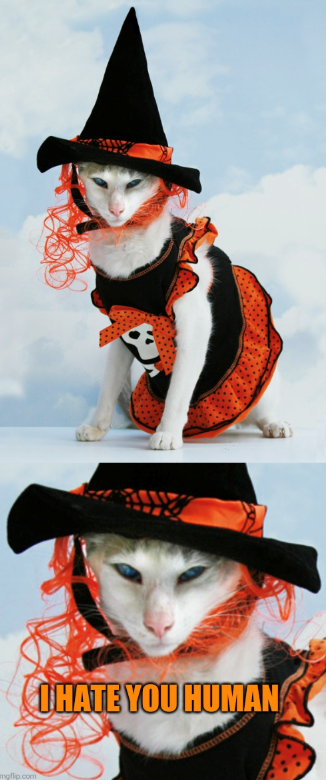 mgflip.com I HATE YOU HUMAN