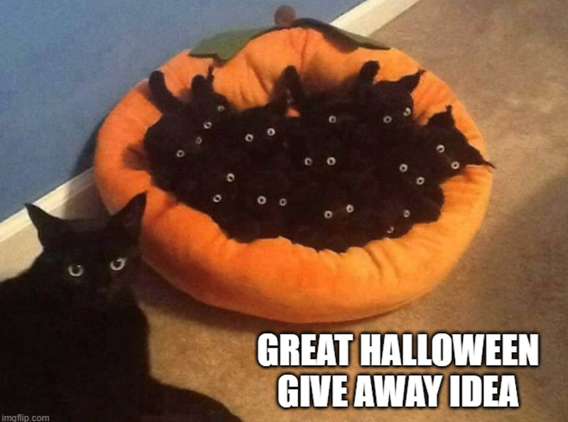 imgflip.com GREAT HALLOWEEN GIVE AWAY IDEA