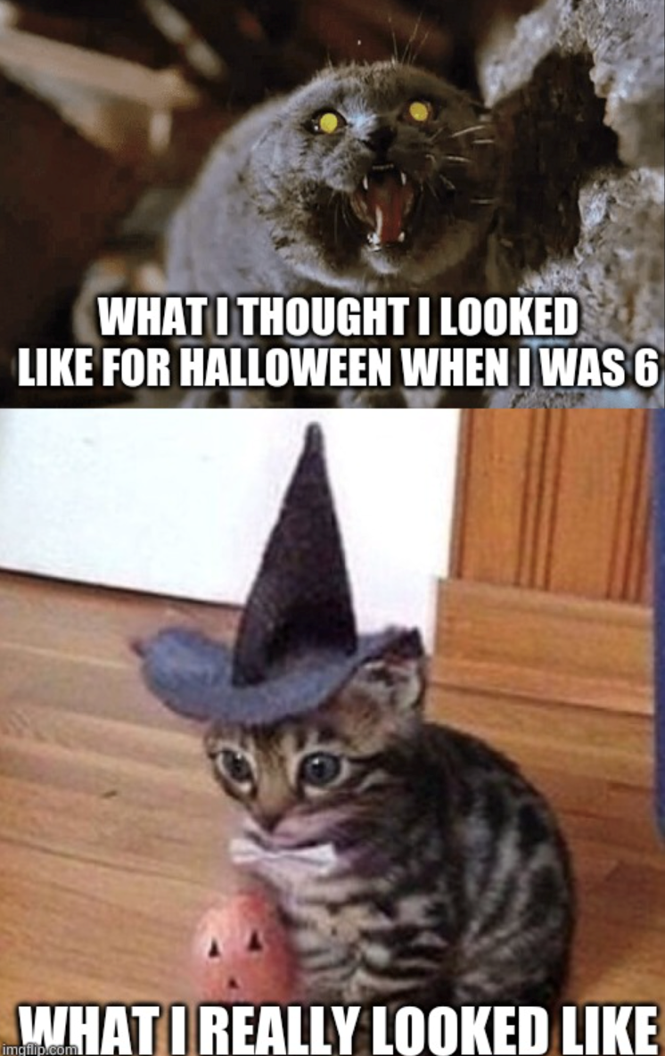 WHAT I THOUGHT I LOOKED LIKE FOR HALLOWEEN WHEN I WAS 6 WHAT I REALLY LOOKED LIKE