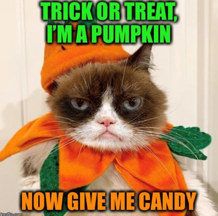 TRICK OR TREAT I'M A PUMPKIN imaflip.com NOW GIVE ME CANDY
