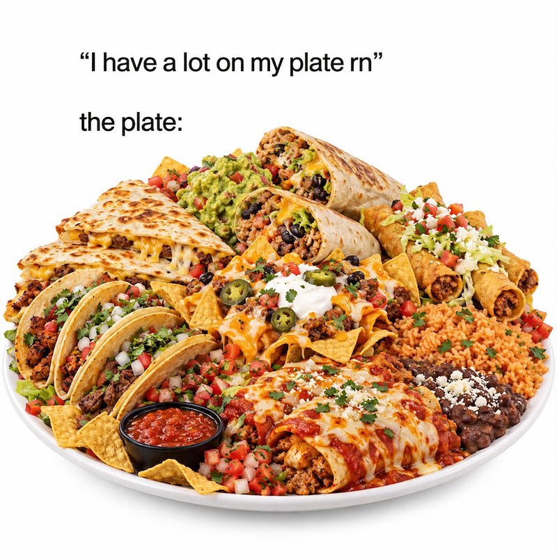 "I have a lot on my plate rn" the plate: