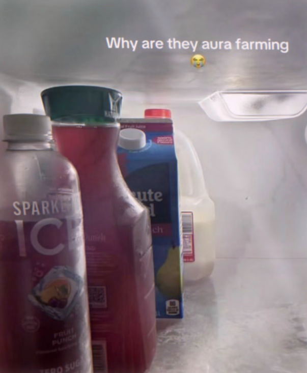SPARKE TC meh FRUIT PUNCH TERO SUG Why are they aura farming ute ch