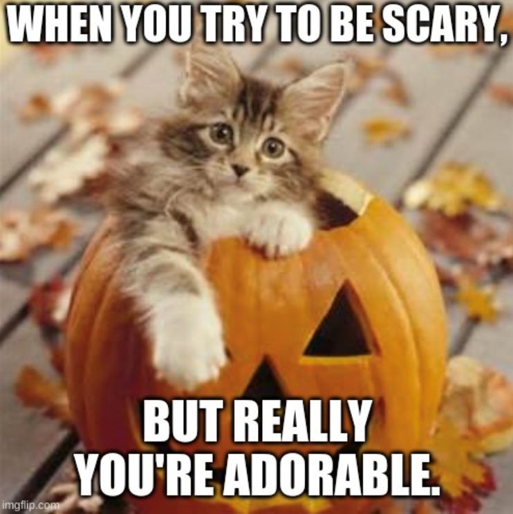 WHEN YOU TRY TO BE SCARY, imgflip.com BUT REALLY YOU'RE ADORABLE