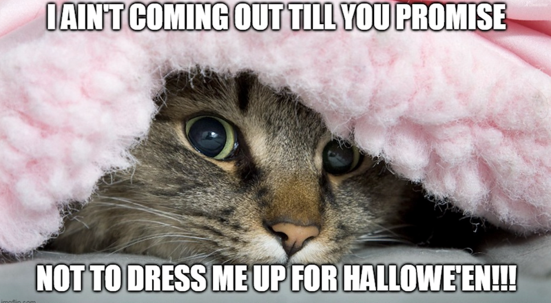 I AIN'T COMING OUT TILL YOU PROMISE NOT TO DRESS ME UP FOR HALLOWEEN!!!