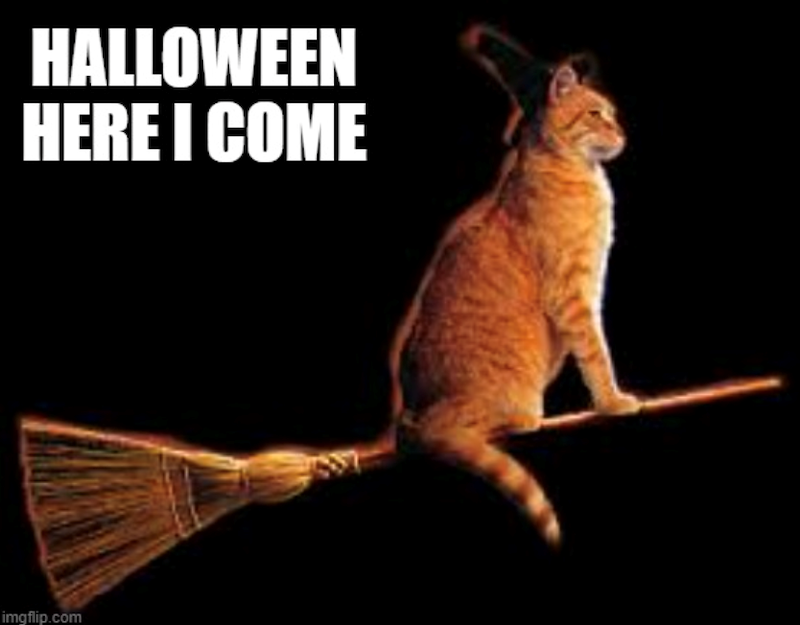 HALLOWEEN HERE I COME imgflip.com