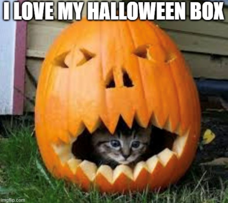 I LOVE MY HALLOWEEN BOX imgflip.com
