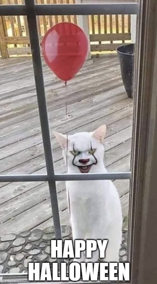 HAPPY HALLOWEEN