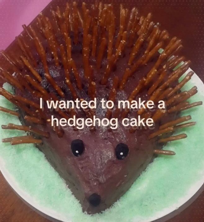 I wanted to make a -hedgehog cake