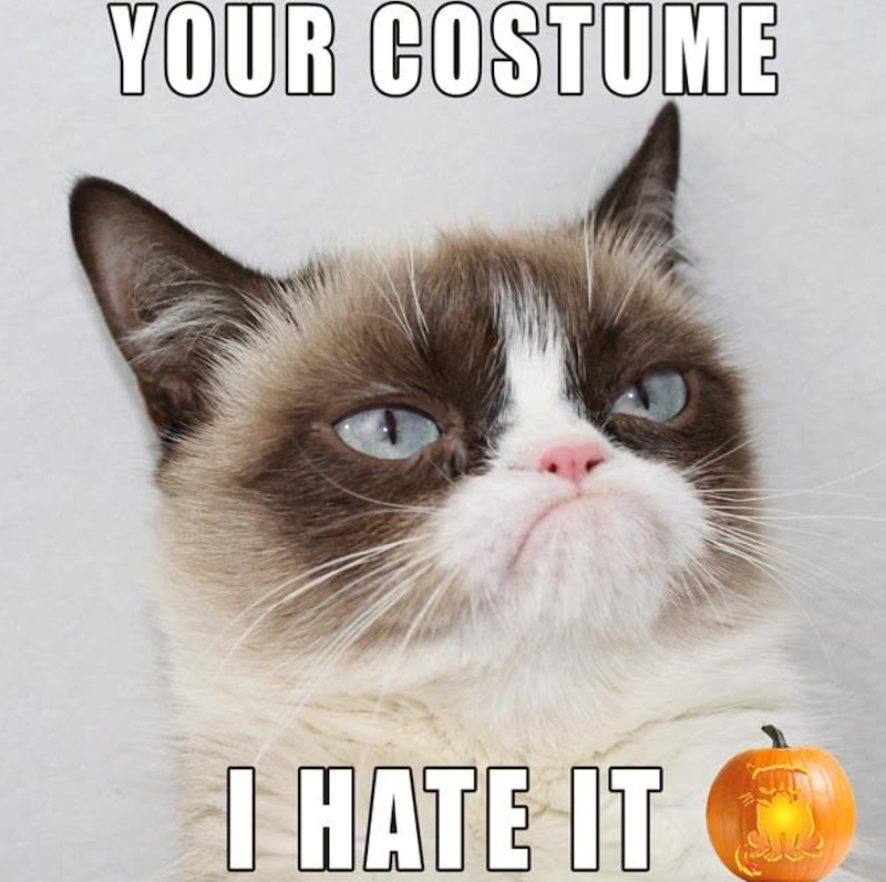 YOUR COSTUME I HATE IT