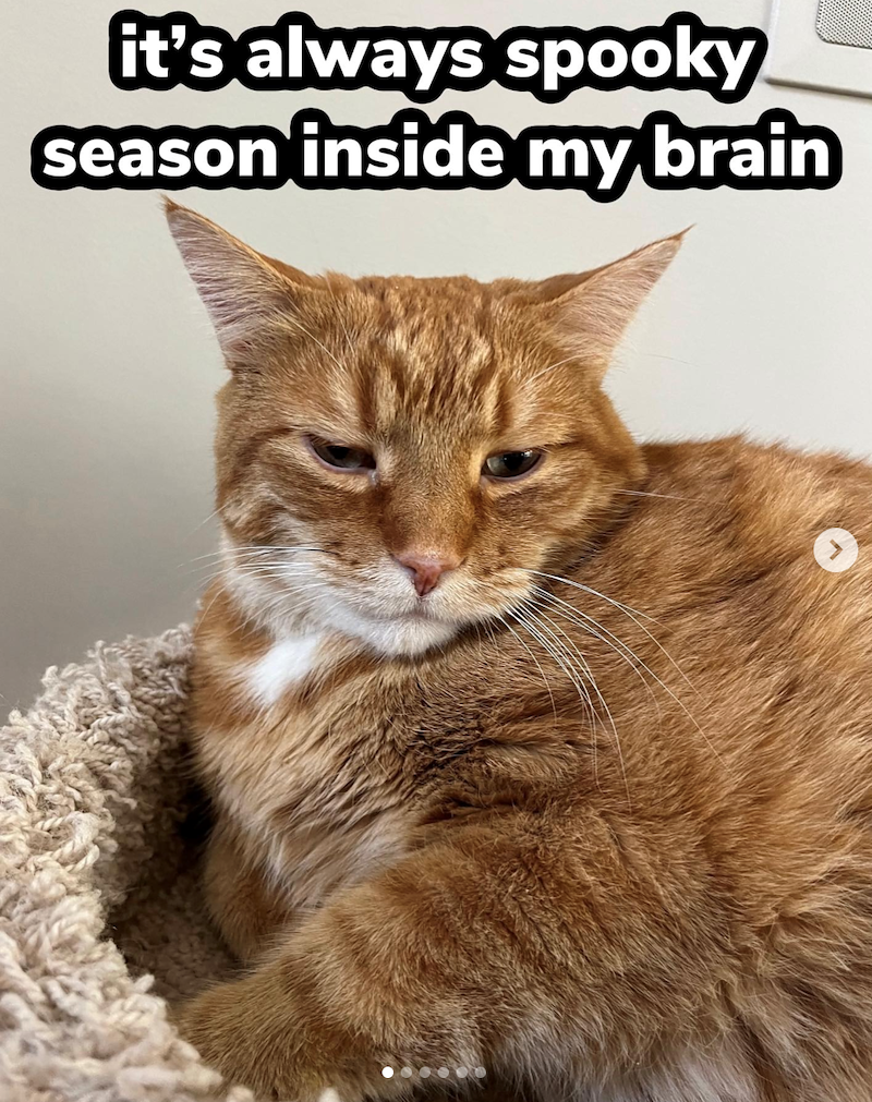 it's always spooky season inside my brain