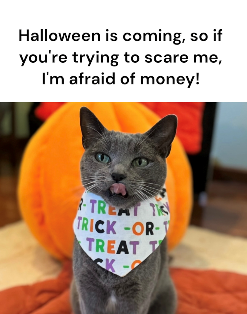 Halloween is coming, so if you're trying to scare me, I'm afraid of money! 6 R-TREAT TIS TRICK-OR-T TREAT T CK