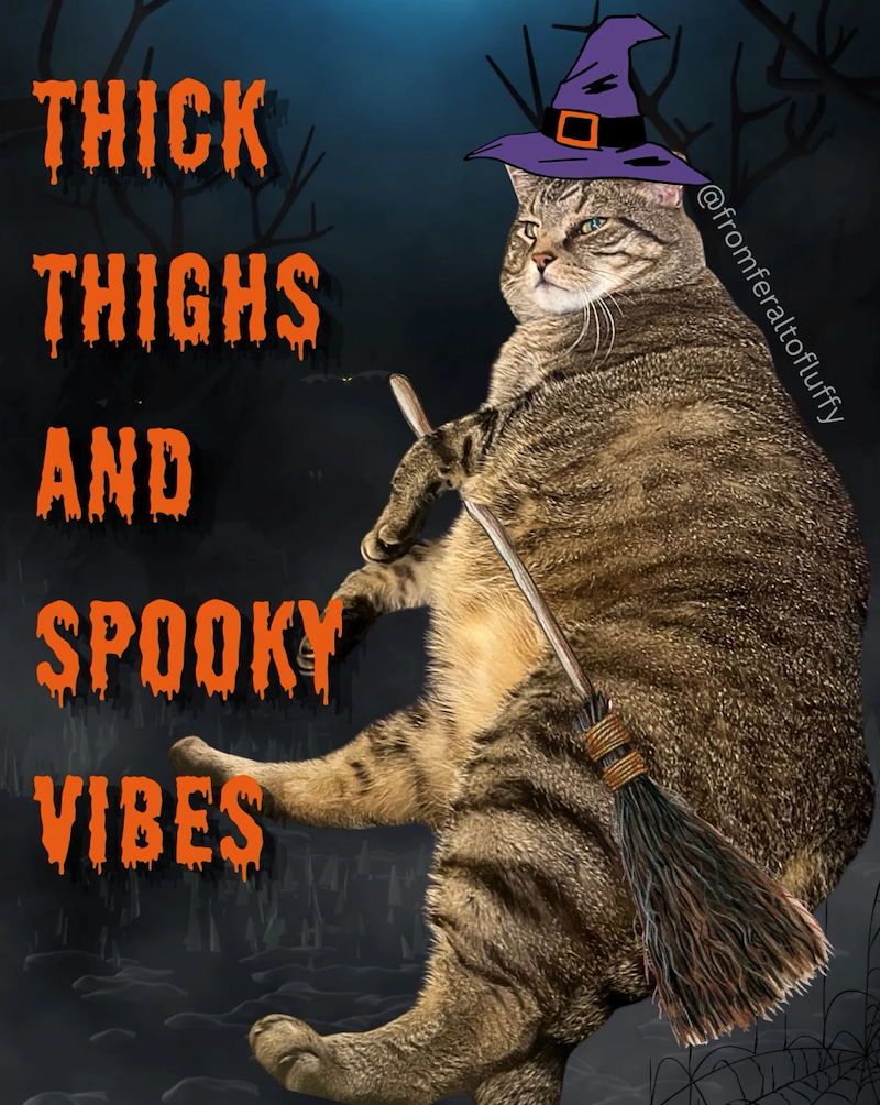 THICK THIGHS AND SPOOKY VIBES @fromferaltofluffy
