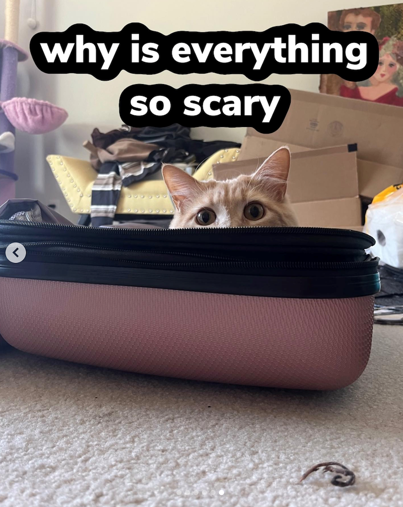 why is everything so scary