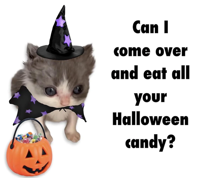 Can I come over and eat all your Halloween candy?