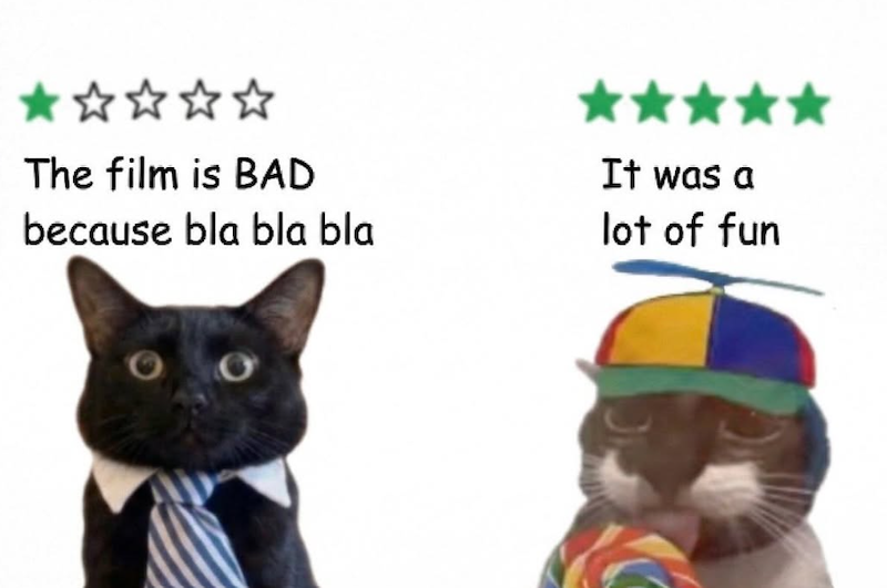 ⭑⭑⭑⭑⭑ The film is BAD because bla bla bla It was a lot of fun