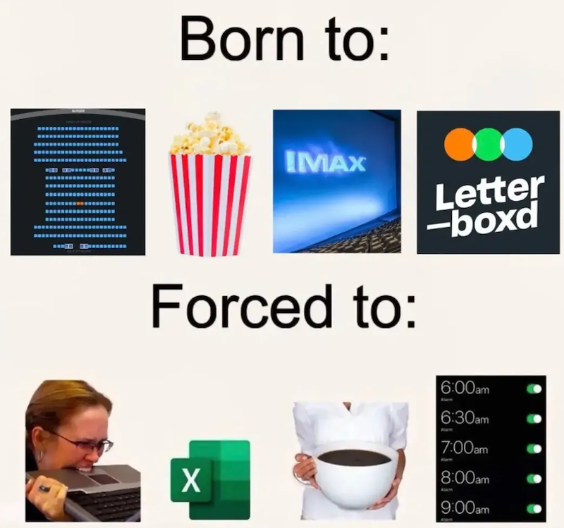 wwwwwww Born to: IMAX Forced to: Letter -boxd 6:00am 6:30am 7:00am X 8:00am 9:00am