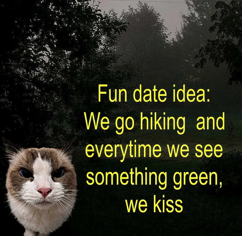 Fun date idea: We go hiking and everytime we see something green, we kiss