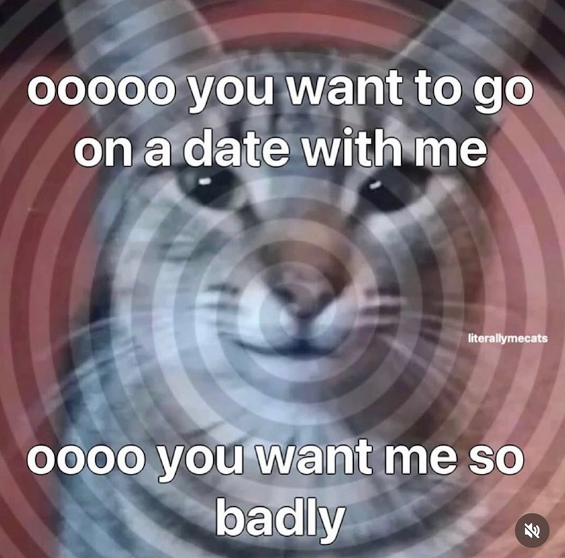 ooooo you want to go on a date with me literallymecats oooo you want me so badly