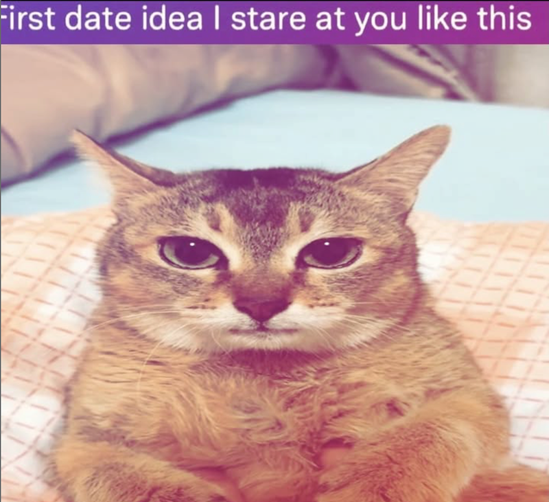 First date idea I stare at you like this
