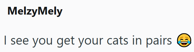 MelzyMely I see you get your cats in pairs D