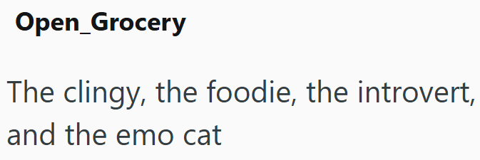 Open_Grocery The clingy, the foodie, the introvert, and the emo cat