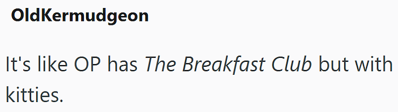 OldKermudgeon It's like OP has The Breakfast Club but with kitties.