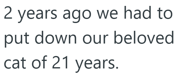 2 years ago we had to put down our beloved cat of 21 years.
