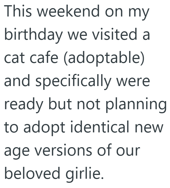 This weekend on my birthday we visited a cat cafe (adoptable) and specifically were ready but not planning to adopt identical new age versions of our beloved girlie.