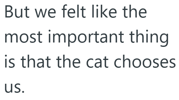 But we felt like the most important thing is that the cat chooses us.