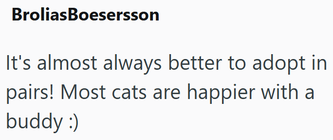 BroliasBoesersson It's almost always better to adopt in pairs! Most cats are happier with a buddy :)