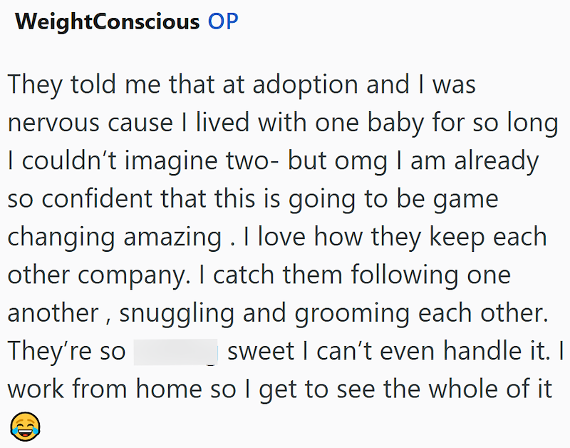 WeightConscious OP They told me that at adoption and I was nervous cause I lived with one baby for so long I couldn't imagine two- but omg I am already so confident that this is going to be game changing amazing. I love how they keep each other company. I catch them following one another, snuggling and grooming each other. They're so sweet I can't even handle it. I work from home so I get to see the whole of it