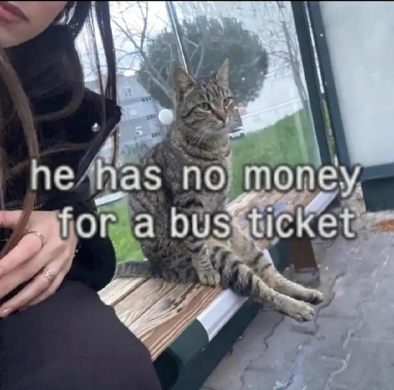 he has no money for a bus ticket