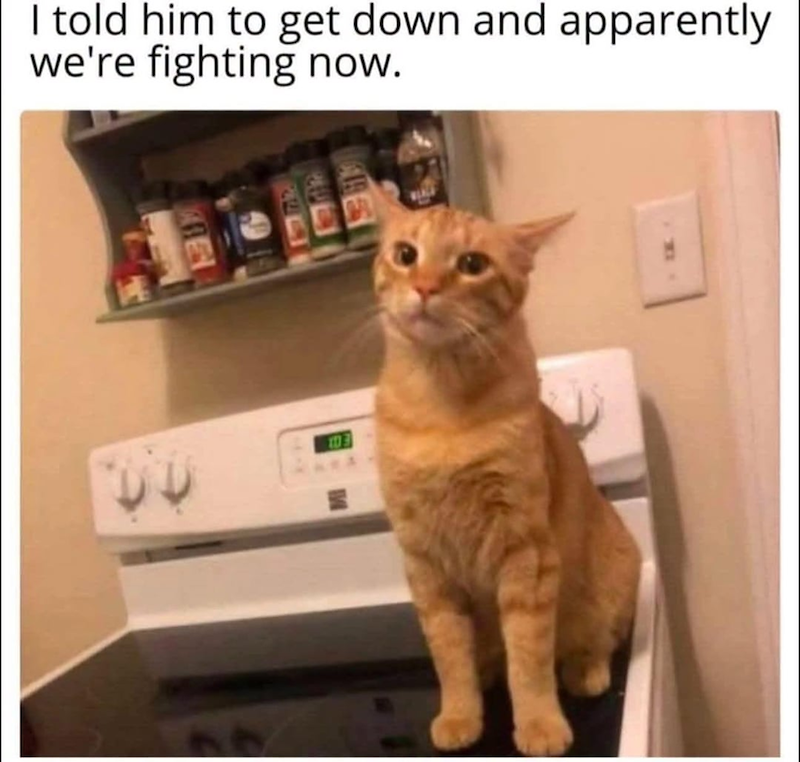 I told him to get down and apparently we're fighting now. 103