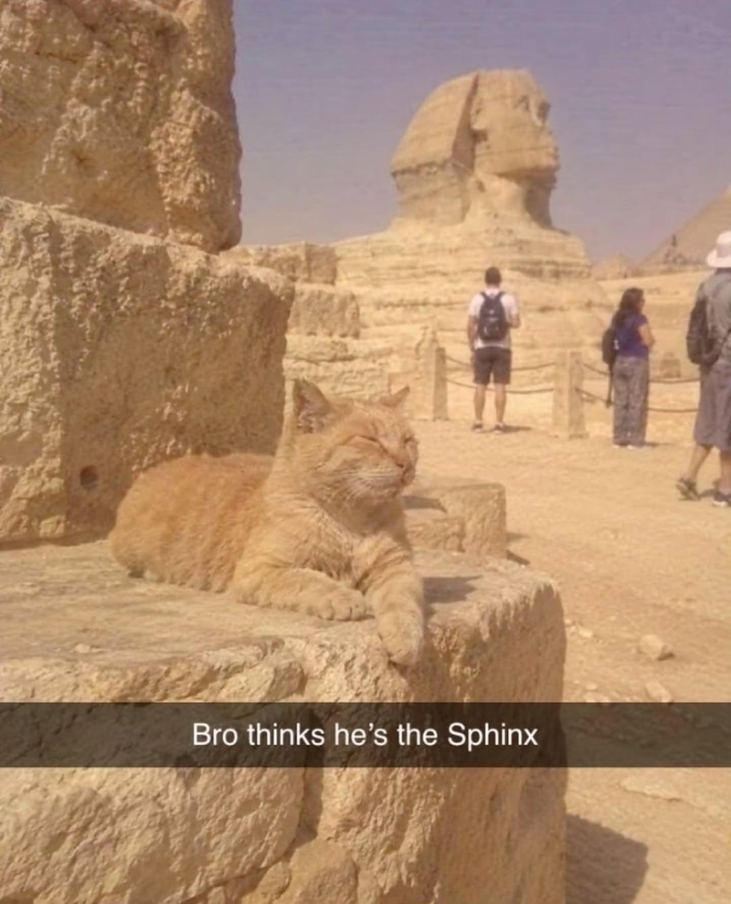 Bro thinks he's the Sphinx