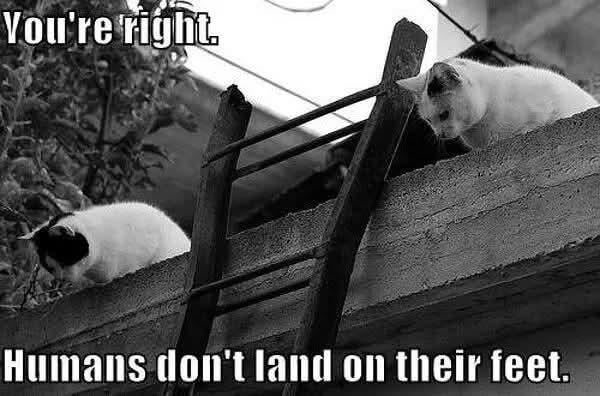 You're right. Humans don't land on their feet.