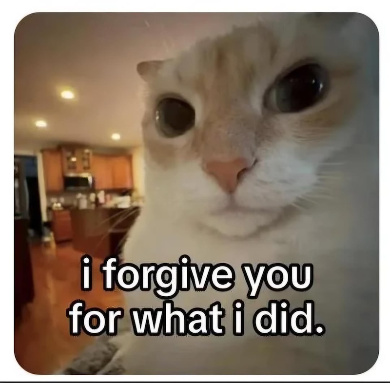 i forgive you for what i did.
