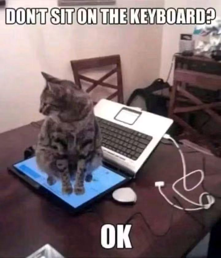 DON'T SIT ON THE KEYBOARD? OK