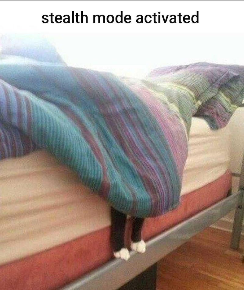 stealth mode activated