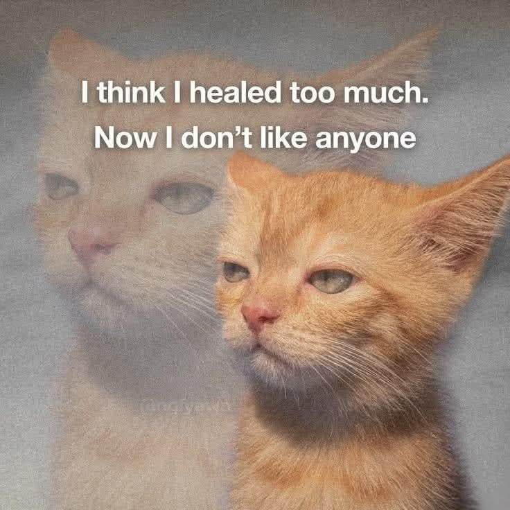 I think I healed too much. Now I don't like anyone eng yewa