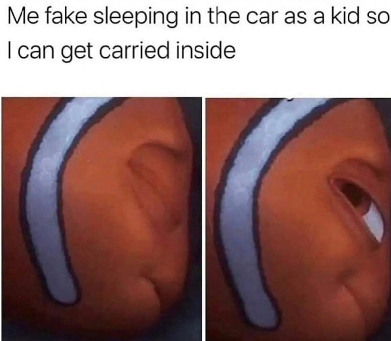 Me fake sleeping in the car as a kid so I can get carried inside
