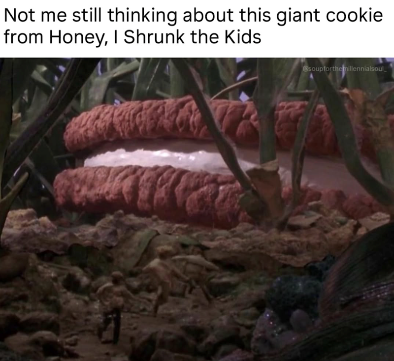 Not me still thinking about this giant cookie. from Honey, I Shrunk the Kids soupforthemillennialsoul_