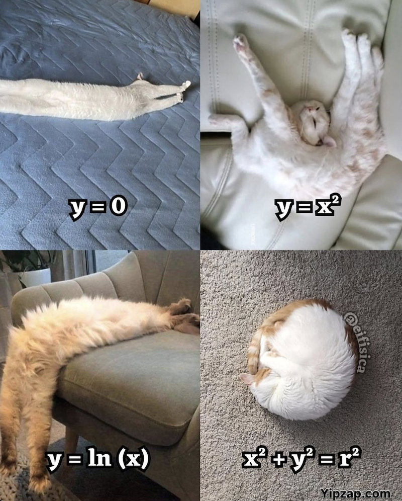 y=0 y=x @eifisica y = ln (x) x²+yer² Yipzap.com