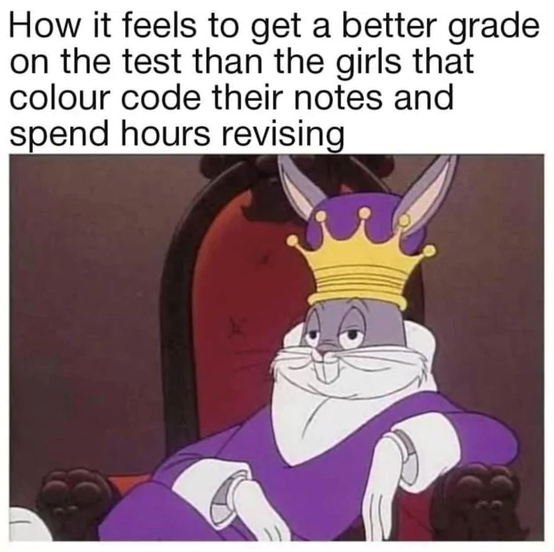 How it feels to get a better grade on the test than the girls that colour code their notes and spend hours revising