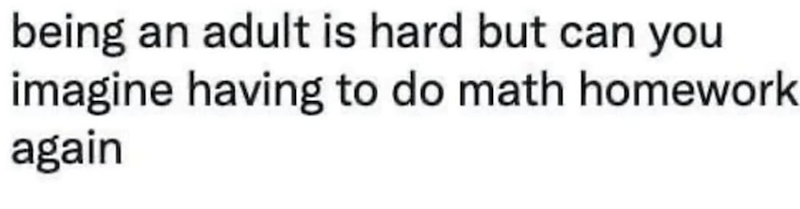 being an adult is hard but can you imagine having to do math homework again