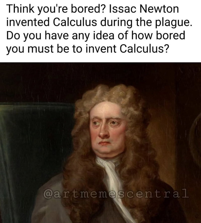Think you're bored? Issac Newton invented Calculus during the plague. Do you have any idea of how bored you must be to invent Calculus? @artmemescentral
