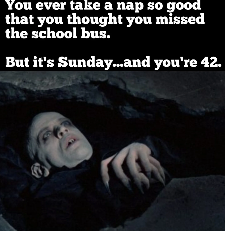 You ever take a nap so good that you thought you missed the school bus. But it's Sunday...and you're 42.