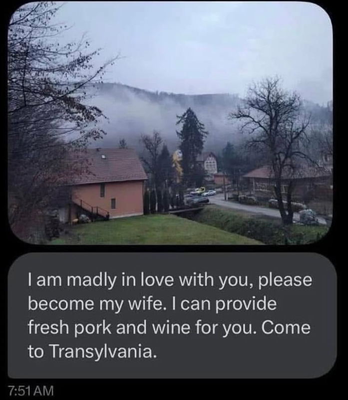 I am madly in love with you, please become my wife. I can provide fresh pork and wine for you. Come to Transylvania. 7:51 AM