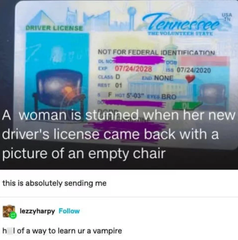 DRIVER LICENSE Tennessee THE VOLUNTEER STATE NOT FOR FEDERAL IDENTIFICATION DL NO EXP DOB 07/24/2028 iss 07/24/2020 CLASS D REST 01 END NONE F HOT 5-03 EYES BRO USA IN A woman is stunned when her new driver's license came back with a picture of an empty chair this is absolutely sending me lezzyharpy Follow h I of a way to learn ur a vampire