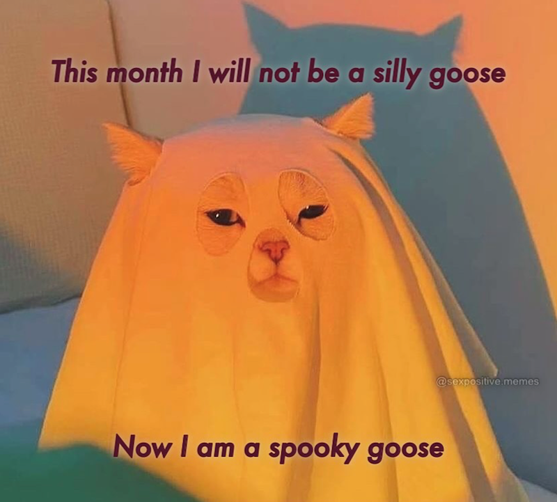 This month I will not be a silly goose Now I am a spooky goose @sexpositive.memes