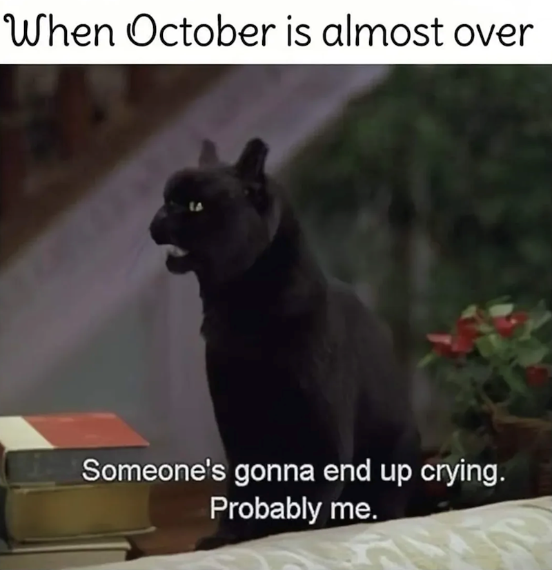 When October is almost over Someone's gonna end up crying. Probably me.